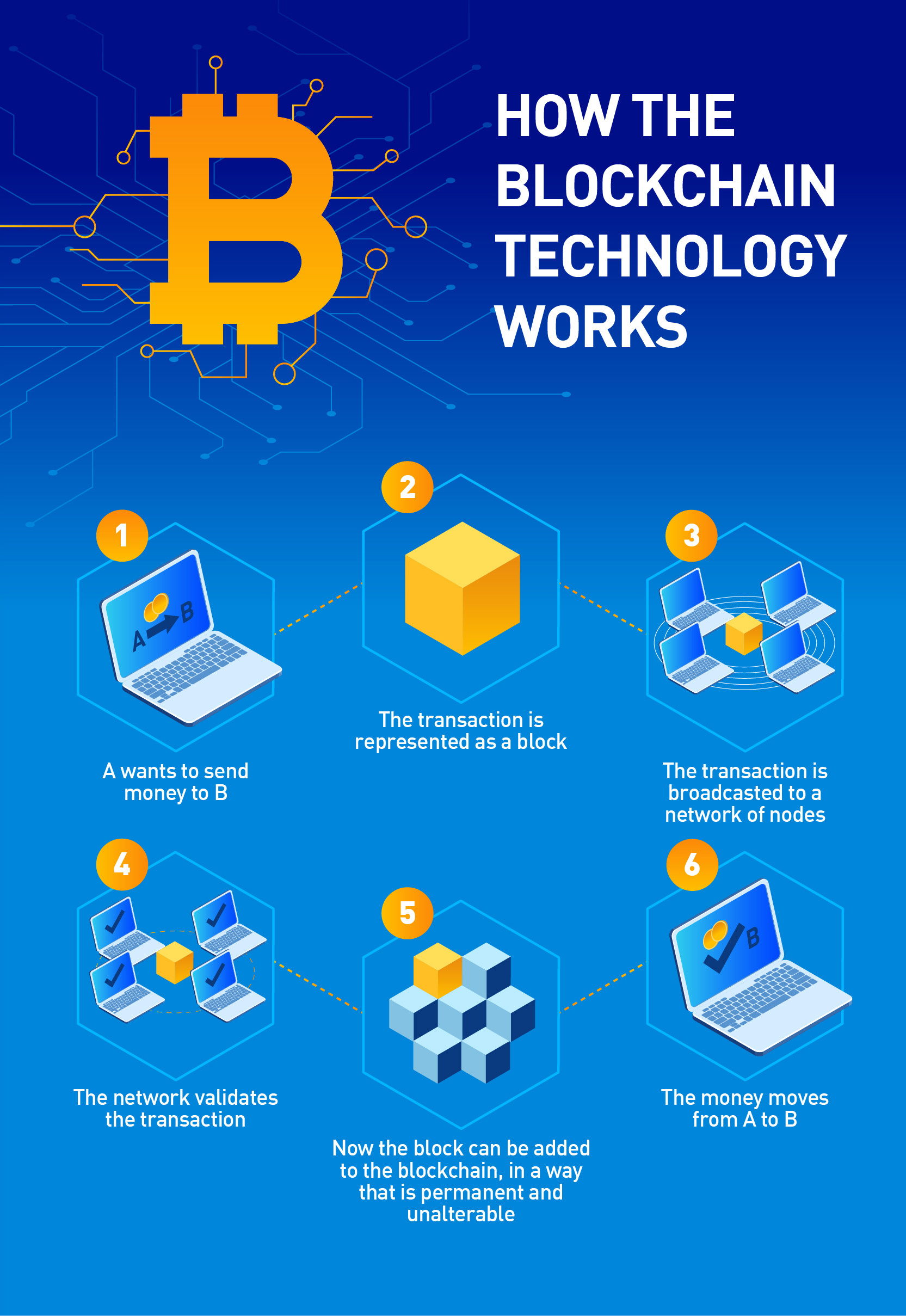 Infographic design blockchain crypto diagram graphic design illustration infographic isometric technology