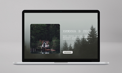 Shed in a woods catalog design figma forest houses illustrations interface landing landing page layout page shed shed in a woods typography ui ux web web designer web interface woods