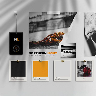Northern Light Photography - Logo Design branding design graphic design illustration illustrator logo photo photography photoshop vector