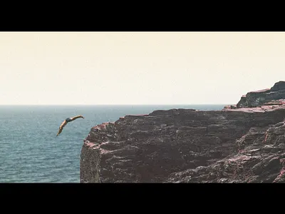 Going for a swim animation cinematic design digital art diving motion graphics process