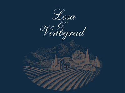 Losа&Vinograd branding design graphic design illustration logo