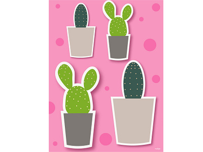 cactus cactus