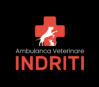 A.V Indriti Logo branding design graphic design illustration logo