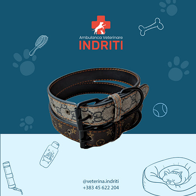 A.V Indriti Product Marketing Flyer branding design graphic design illustration