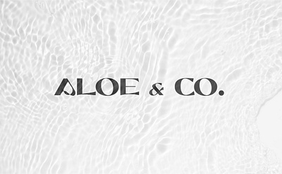 Brand Identity and Packaging Aloe & Co Skin Cream branding cream design graphic design logo packing skin skin care typography