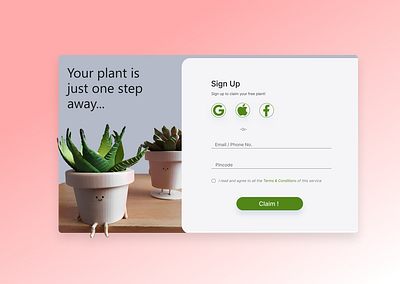 Plant Giveaway dailyui