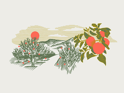 Brokenstraw Landscape apple brand design branding brokenstraw design drawing gold illustration landscape orange orchard