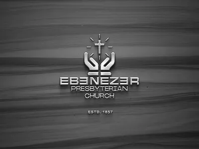 Logo aesthetic branding design graphic design illustration logo vector