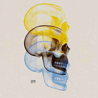 Skeletons 2 art artist bones design drawing graphic illustration photoshop procreate skeletons