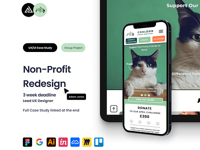 Non-Profit Website Redesign branding case study figma redesign challenge responsive design rwd ui user experience user interface user research ux uxui web design