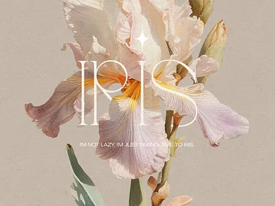 Vintage and modern botanic botanical design flower illustration iris modern old old book retro retro elements vintage