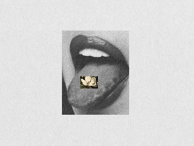 Your own creative visions to life acid botanic botanical creative design design assets flower fun illustration magnolia old photo retro retro elements vintage