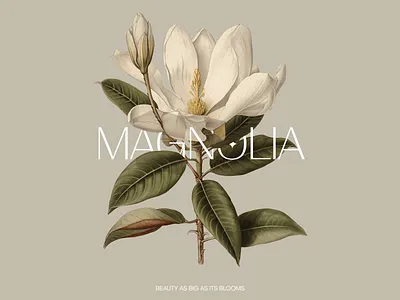 Awe-inspiring aesthetics botanic botanical collage design flower green illustration magnolia old retro retro elements vintage