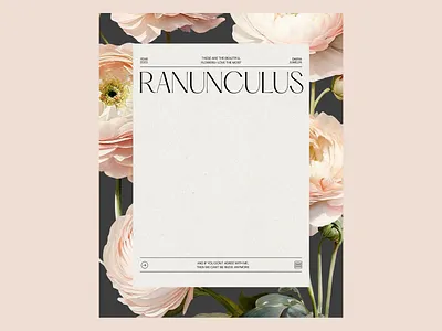 Positive change in the world aestetics blank botanic botanical design document flower illustration old ranunculus retro retro elements vintage