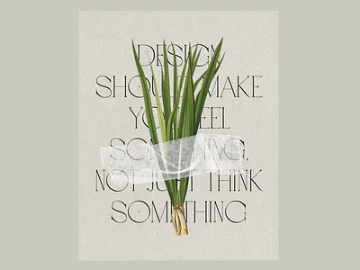 Time capsule botanic botanical collage design flower illustration lemongrass old poster retro retro elements vintage