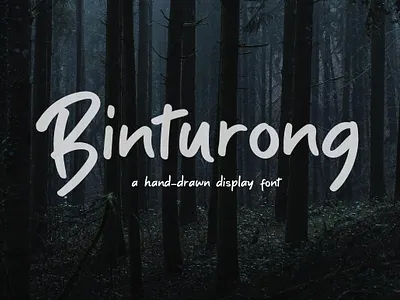 Binturong font 3d animation app branding design font graphic design illustration logo ui ux vector