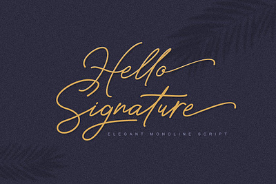 Hello Signature font app branding design font graphic design illustration logo ui ux vector