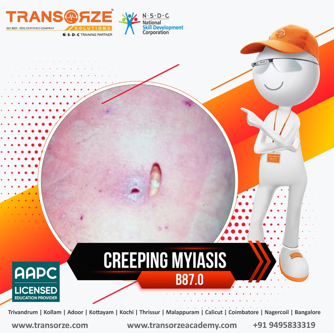 icd-10-code-b87-0-cutaneous-myiasis-by-transorze-on-dribbble