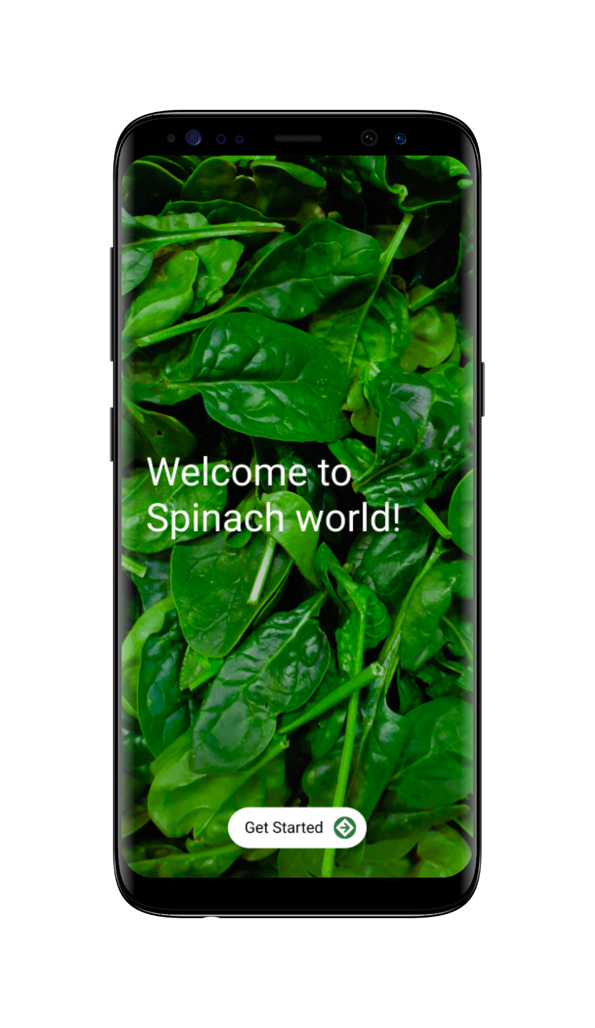 Spinach Delivery App app app design branding design food app design graphic design logo ui ui ux
