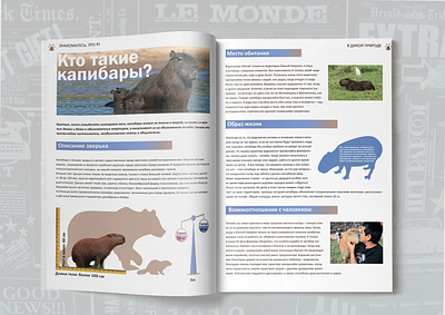 Capybaras! Article design graphic design illustration portfolio typography