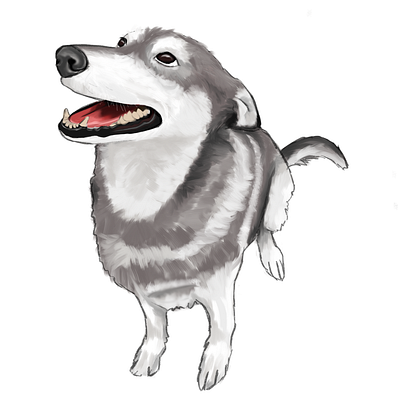 Husky animal art arte digital design digital art digitalilustration dog dog art dog drawing dogillustration dogs drawing graphic design husky drawing husky illustration illustration logo siberian husky