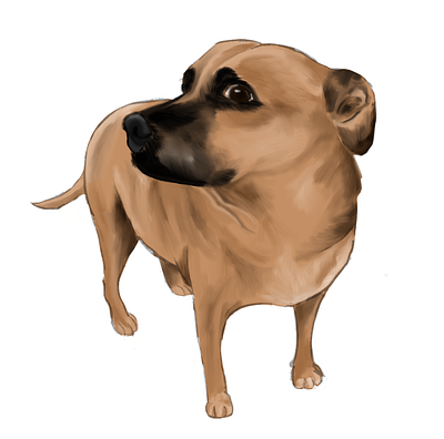 I see you adopt animal animal love art arte digital design digital art digital artist digitalilustration dog dog drawing dog illustration doggo dogs drawing illustration street dog