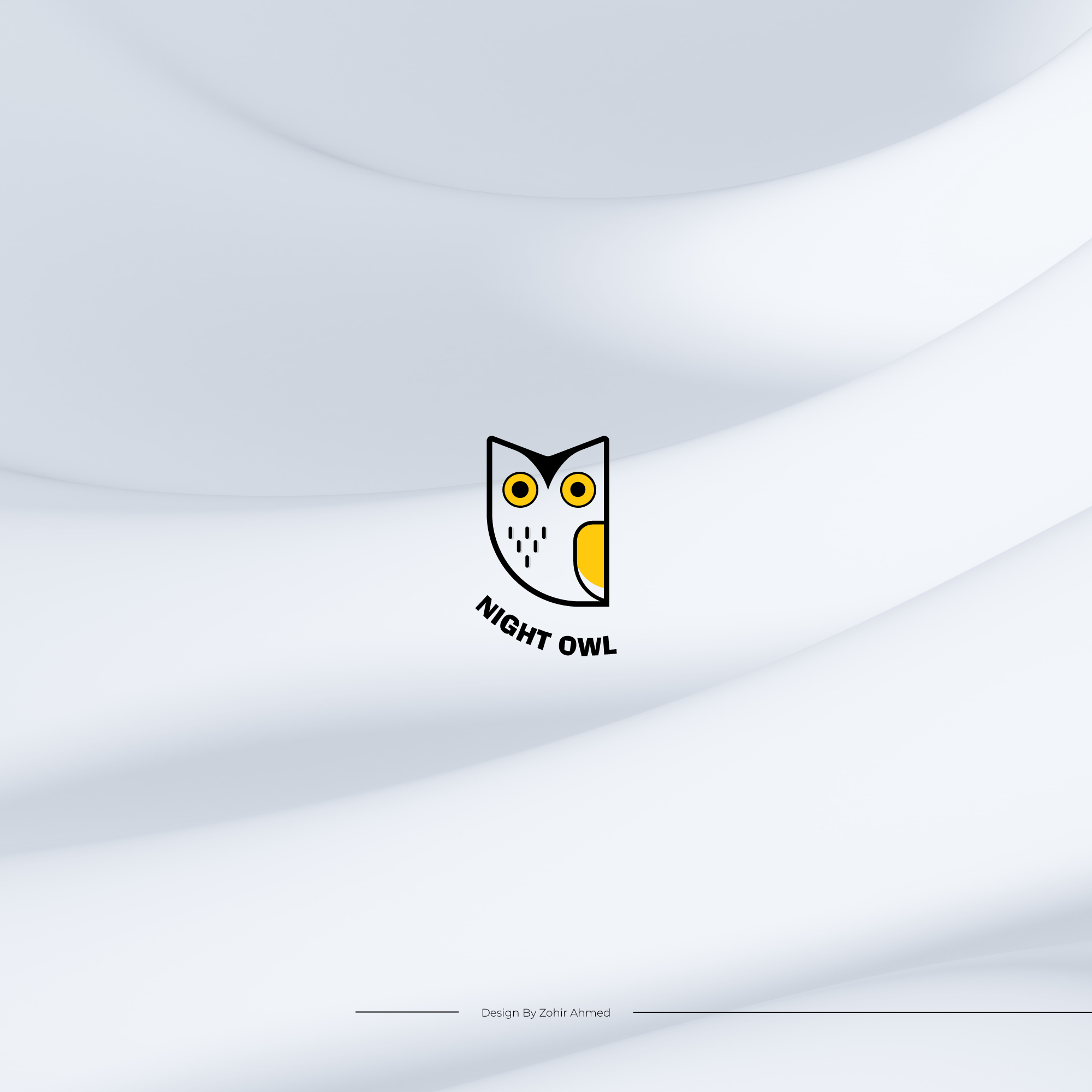 Night Owl LOGO brand identity ui