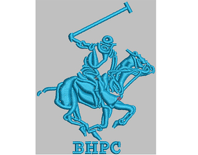 I will embroidery digitizing, flat, dst, dsb, pes, jef, custom embroidery design embbroidery 3d embroidery embroidery all over embroidery cording embroidery design logo