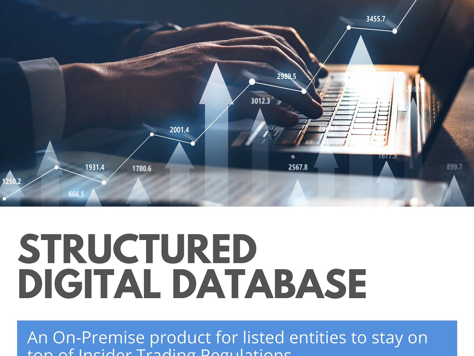 Structured Digital Database SEBI by Sonal Pal on Dribbble