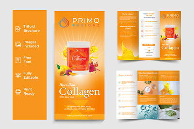 Trifold Brochure Design animation arshunno branding brochure design design graphic design illustration logo motion graphics trifold trifold brochue ui vector