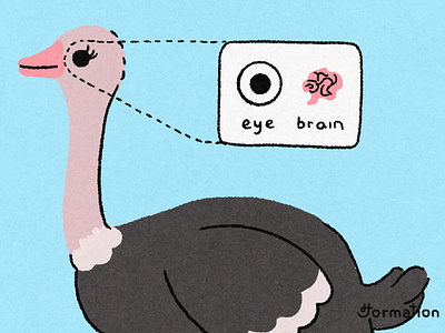 An ostrich's eye is bigger than its brain animal bird brain cartoon did you know digital art digital illustration fact fact of the day fun fact illustration ostrich