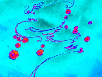 I'm the slave of the moon... calligraphy farsi mowlana persian poem graphic