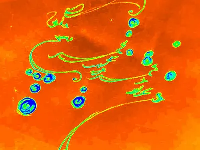 I'm the slave of the moon... calligraphy farsi mowlana persian poemgraphy