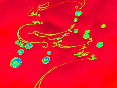 I'm the slave of the moon... calligraphy design farsi illustration mowlana persian poem graphic poemgraphy