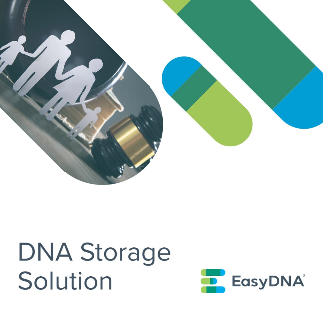 easydna-australia-by-omair-saleem-on-dribbble