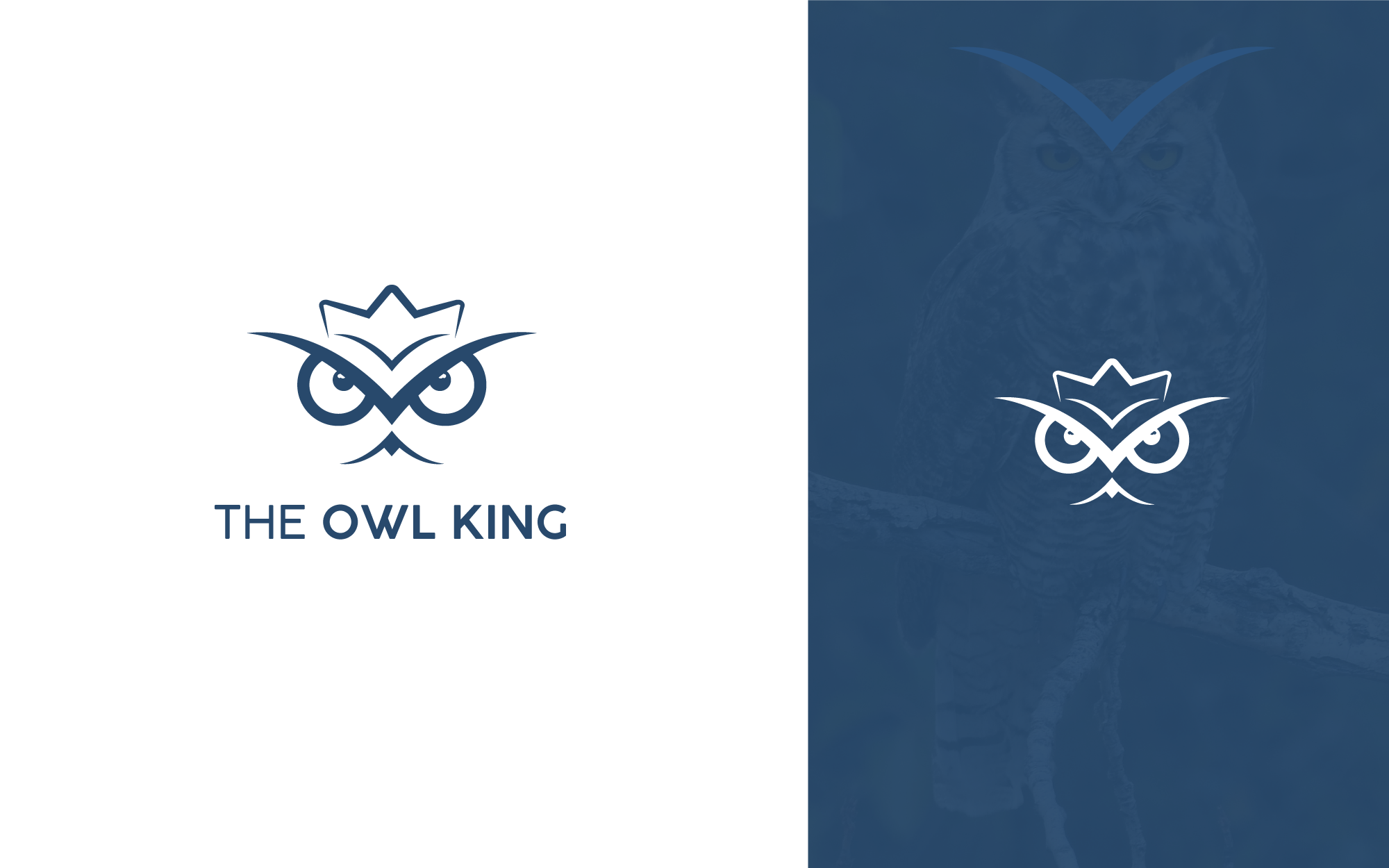 Owl Logo Design | King Logo Design animal logo design bird logo design creative owl logo design king bird logo design king owl logo king owl logo design minimal logo icon modern bird logo design modern logo owl king logo owl logo design owl logo icon owl minimal logo design