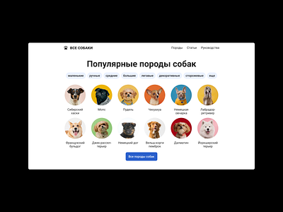 Dog - Website about dog articles branding catalog clean design dog graphic design illustration logo minimal ui ux vector web web design