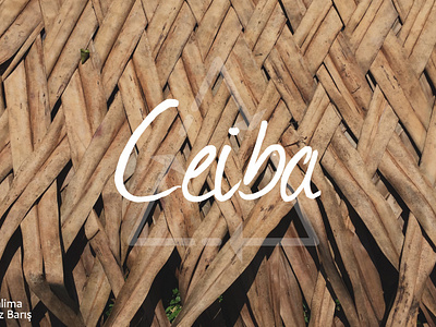 Project Ceiba design designforsocialinnovation multidisciplinarydesign multidisciplinarydesigner productdesign research socialdesign