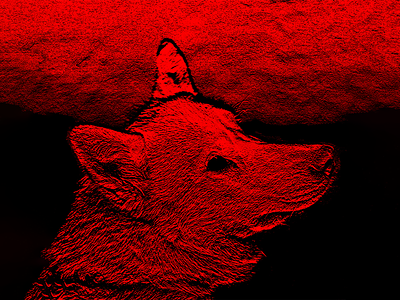 red dog canon dark theme design dog emotion experiment filter glitch illustration illustrator noise photo photoshoot photoshop picture red red and black red color retouch two colors