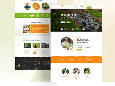 Organic Food Website branding business cleaning corporate dashboard design food html minimal mobile app organic ui design uiux design ux design vegetables web design webflow website wordpress