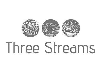 "Three Streams" Logo Concept branding design design concept graphic design illustration logo typography vector