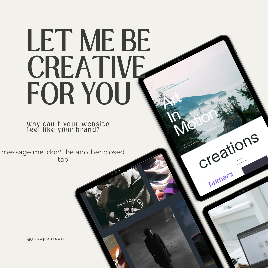 Example of Portfolio Launch