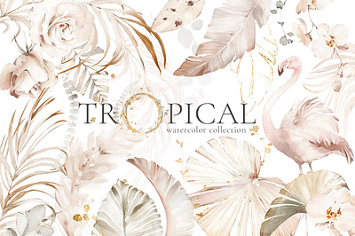 Tropical Watercolor Creamy Set app branding design graphic design illustration logo typography ui ux vector