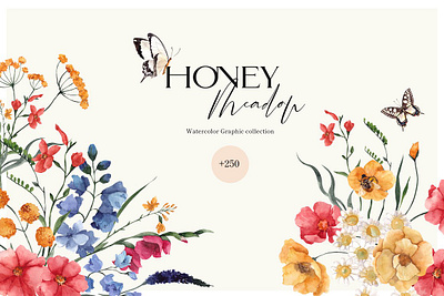 Honey Meadow. Wild Flower. app branding design graphic design illustration logo typography ui ux vector