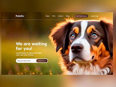 PetsOn - Hero Page graphic design ui
