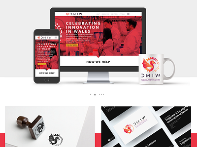 DMIW Branding Design branding graphic design logo ui