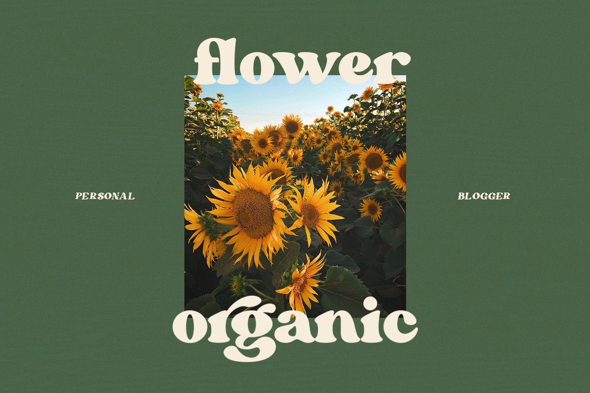 Font margin. Padding html что это. Font margin. Margin шрифт. Font weight css.