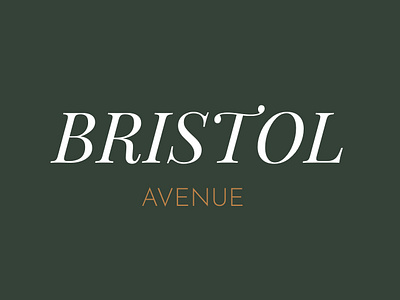 Bristol Avenue Logo branding design graphic design