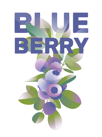 Blueberry art berry blueberry bunch design gradient illustration leaf light mood object summer sun vector vector art