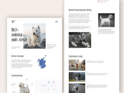 Longread West Highland White Terrier design dog longread ui web
